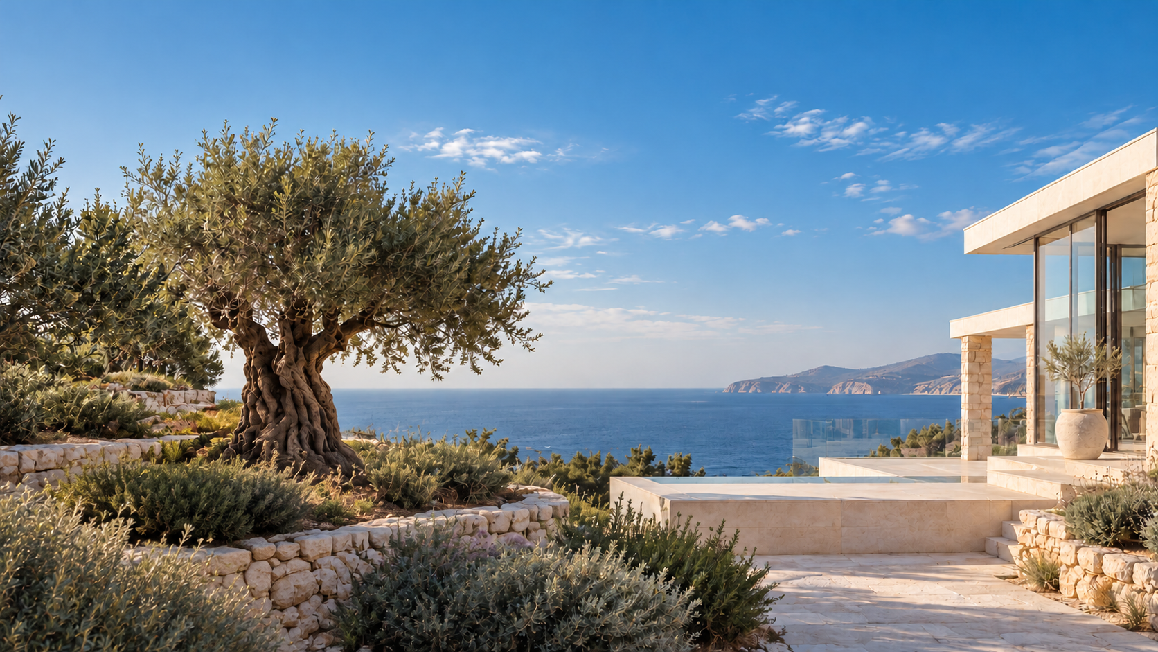 olive terrace overlooking the mediterranean